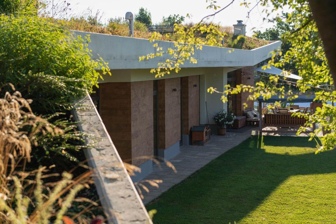 Earth-sheltered house corner with green roof, wood-clad walls, and terrace, framed by backlit grasses